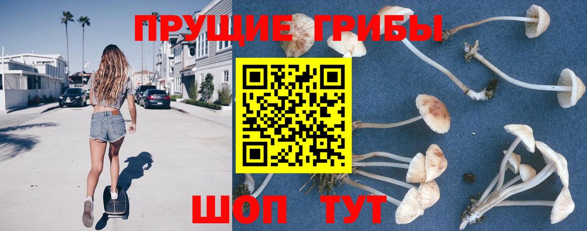 Ноябрьск  Галлюциногенные грибы Cubensis  Вход с VPN 
